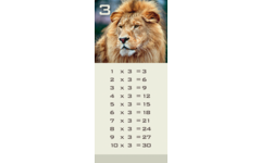 Tafelkaartjes Werelddieren 3022 12 motieven, 120 stuks