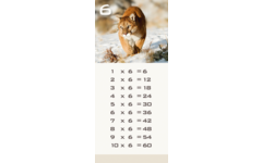Tafelkaartjes Werelddieren 3022 12 motieven, 120 stuks