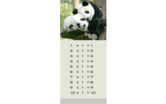 Tafelkaartjes Werelddieren 3022 12 motieven, 120 stuks