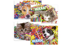 Ansichtkaarten 5747 confettidieren, 4 motieven, 48 stuks