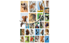 Beloningsstickers Werelddieren 346 36 motieven, 720 stuks