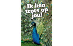 Beloningskaarten Motivatiedieren 4567, 6 motieven, 96 stuks