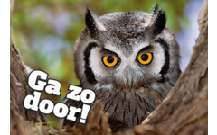 Beloningskaarten Motivatiedieren 4567, 6 motieven, 96 stuks