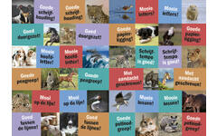 Beloningsstickers 127 Schrijf plezier 24 motieven, 480 stickers