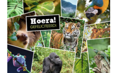 Ansichtkaarten 5753 Dieren in kaders, 4 motieven, 48 stuks