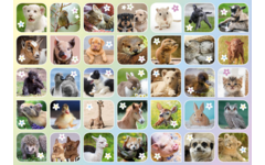 Beloningsstickers 462 Lieve Lentediertjes, 35 motieven, 700 stuks