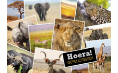 Miniposters 1071 Dieren in Kaders, 4 motieven, 20 stuks