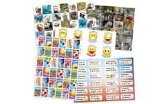 Beloningsstickers snelbestelpakket Teksten  8002, 150-225 motieven, 4000 st.