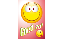 Beloningskaarten Smileys met teksten 4480, 4 motieven, 96 stuks