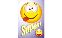 Beloningskaarten Smileys met teksten 4480, 4 motieven, 96 stuks