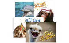 Miniposters Grappige Dieren 991 4 motieven, 20 stuks