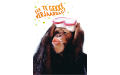 Miniposters Grappige Dieren 991 4 motieven, 20 stuks