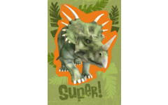 Beloningskaarten Dino's 4552 4 motieven, 96 stuks