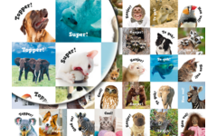 Beloningsstickers Motivatiedieren 359, 35 motieven, 700 stuks