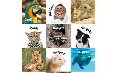 Beloningsstickers Motivatiedieren 359, 35 motieven, 700 stuks