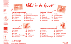 Beloningsstickers 479 Wild in de buurt, 40 motieven, 800 stuks