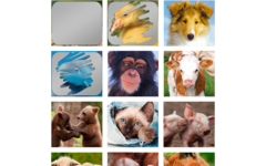 Krasstickers 644 babydieren, 40 motieven, 600 stuks