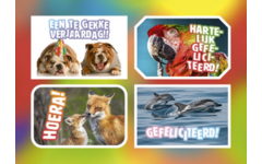 Ansichtkaarten 5760 Felicitatiedieren 4 motieven, 48 kaarten