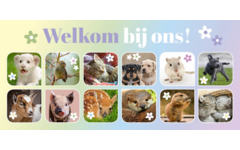 Oproepkaarten 5291 algemeen Lente Diertjes, 2 motieven, 25 stuks
