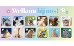 Oproepkaarten 5291 algemeen Lente Diertjes, 2 motieven, 25 stuks