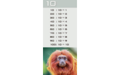 Deelkaartjes 3026 Werelddieren 10 motieven, 120 kaarten