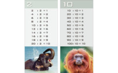 Deelkaartjes 3026 Werelddieren 10 motieven, 120 kaarten