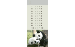 Deelkaartjes 3026 Werelddieren 10 motieven, 120 kaarten