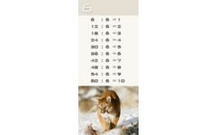 Deelkaartjes 3026 Werelddieren 10 motieven, 120 kaarten