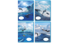 Schriften midicahiers 7,5-5-7,5, dolfijnen, 13,8 x 18 cm, 80 gr (25 stuks)