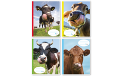 Schriften 4,5-3-4,5, gekke koe, 16,5 x 21 cm, 80 gr (25 stuks)