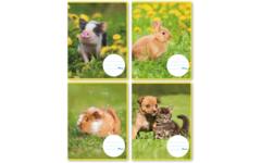 Schriften 4,5-3-4,5, jonge dieren, 16,5 x 21 cm, 80 gr (25 stuks)
