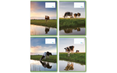 Schriften commerciaal 4x7,5 mm, koeien, 16,5 x 21 cm, 80 gr (25 stuks)