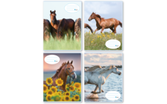 Schriften commerciaal 4x7,5 mm, paarden, 16,5 x 21 cm (25 stuks)