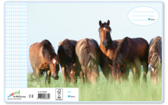 Schriften commerciaal 4x7,5 mm, paarden, 16,5 x 21 cm (25 stuks)