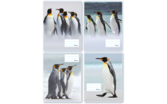 Schriften 6-4-6, pinguïns, 16,5 x 21 cm, 80 gr (25 stuks)