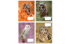 Schriften 6-4-6, uilen, 16,5 x 21 cm, 80 gr (25 stuks)