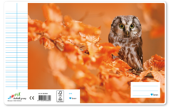 Schriften 6-4-6, uilen, 16,5 x 21 cm, 80 gr (25 stuks)