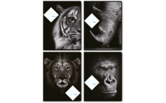 Schriften 6-4-6, wilde dieren zwart/wit, 16,5 x 21 cm, 80 gr (25 stuks)