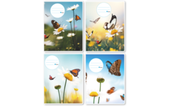Schriften 7,5-5-7,5, vlinders, 16,5 x 21 cm, 80 gr (25 stuks)