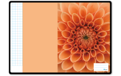 Schriften ruit 10x10 mm, bloemen, 21 x 29,7 cm (A4), 80 gr (25 stuks)