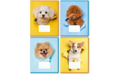 Projectschriften 6-4-6/blanco, hondjes, 16,5 x 21 cm, 80 gr (25 stuks)