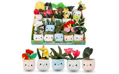 Pluchen plant in pot 12 cm assorti