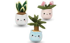 Pluchen plant in pot 12 cm assorti
