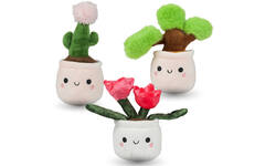 Pluchen plant in pot 12 cm assorti