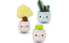 Pluchen plant in pot 12 cm assorti