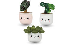 Pluchen plant in pot 12 cm assorti