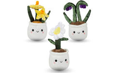 Pluchen plant in pot 12 cm assorti