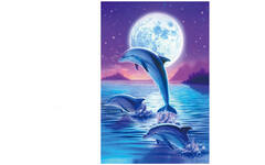 Diamond painting natuur met standaard assorti