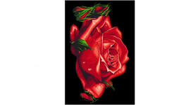Diamond painting natuur met standaard assorti