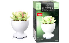 Bouwstenen bloemen in pot assorti